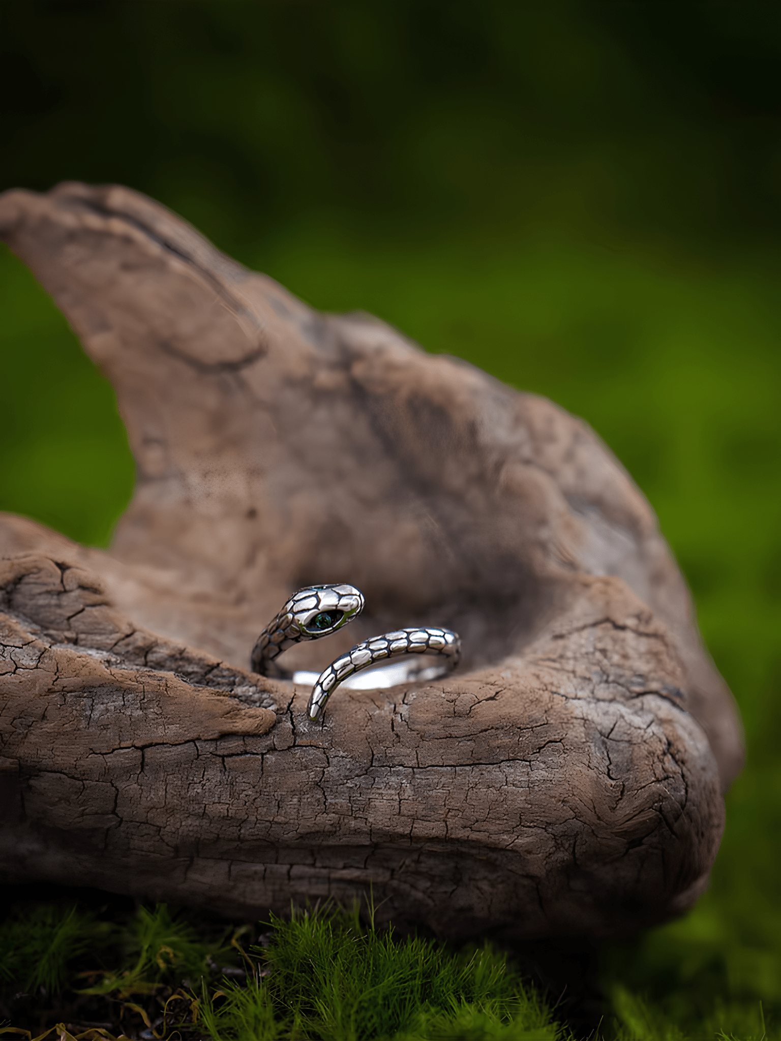 Dark Serpent Gothic Ring – Vintage Stainless Steel Snake Band - Night Works