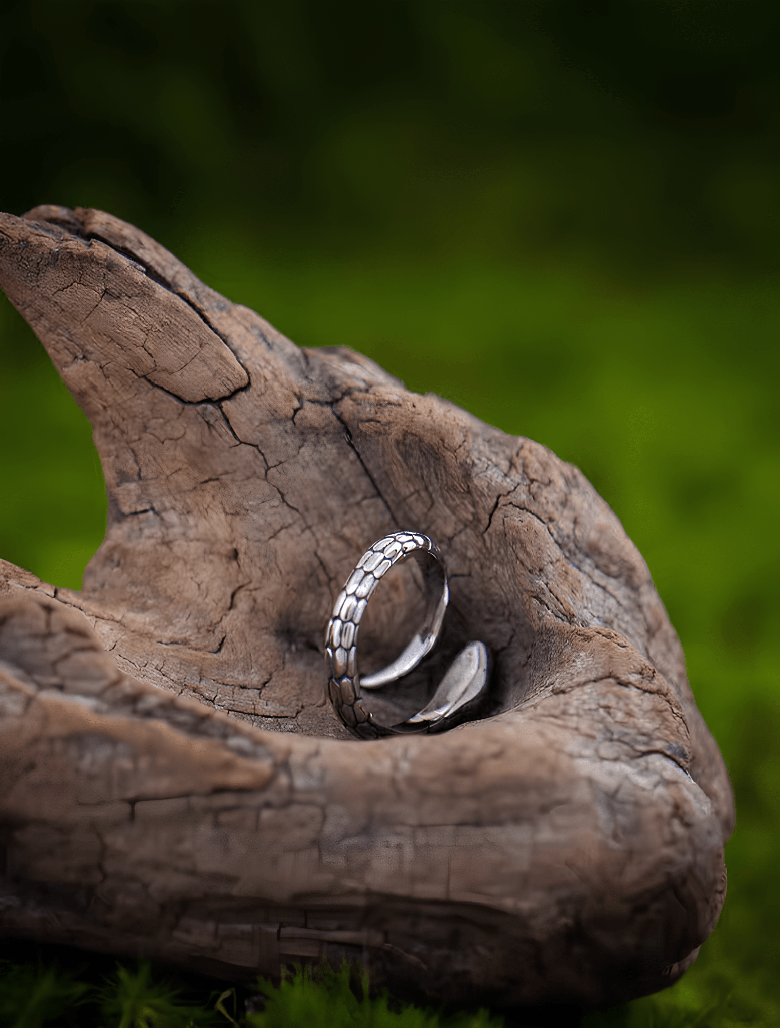 Dark Serpent Gothic Ring – Vintage Stainless Steel Snake Band - Night Works