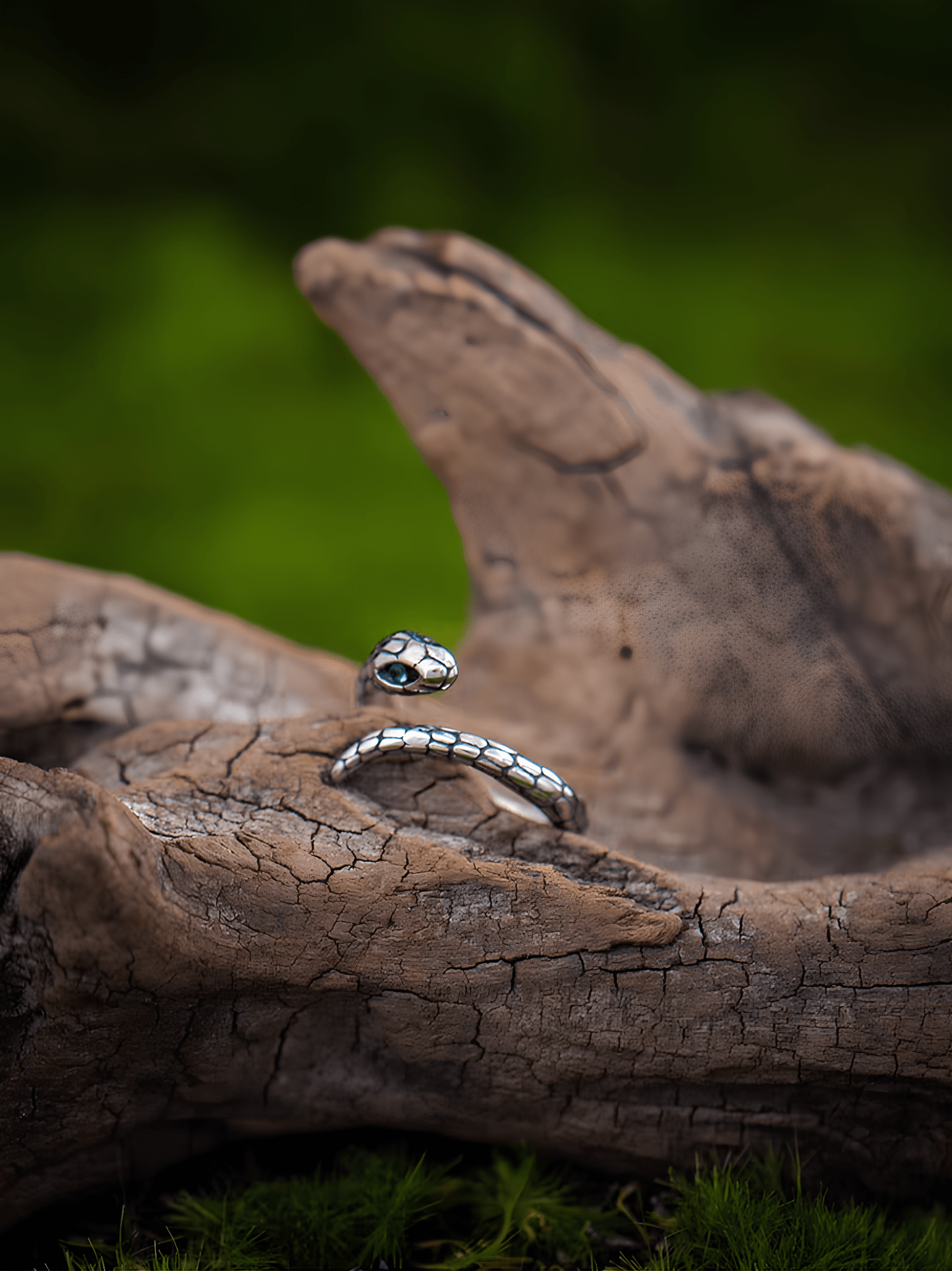 Dark Serpent Gothic Ring – Vintage Stainless Steel Snake Band - Night Works