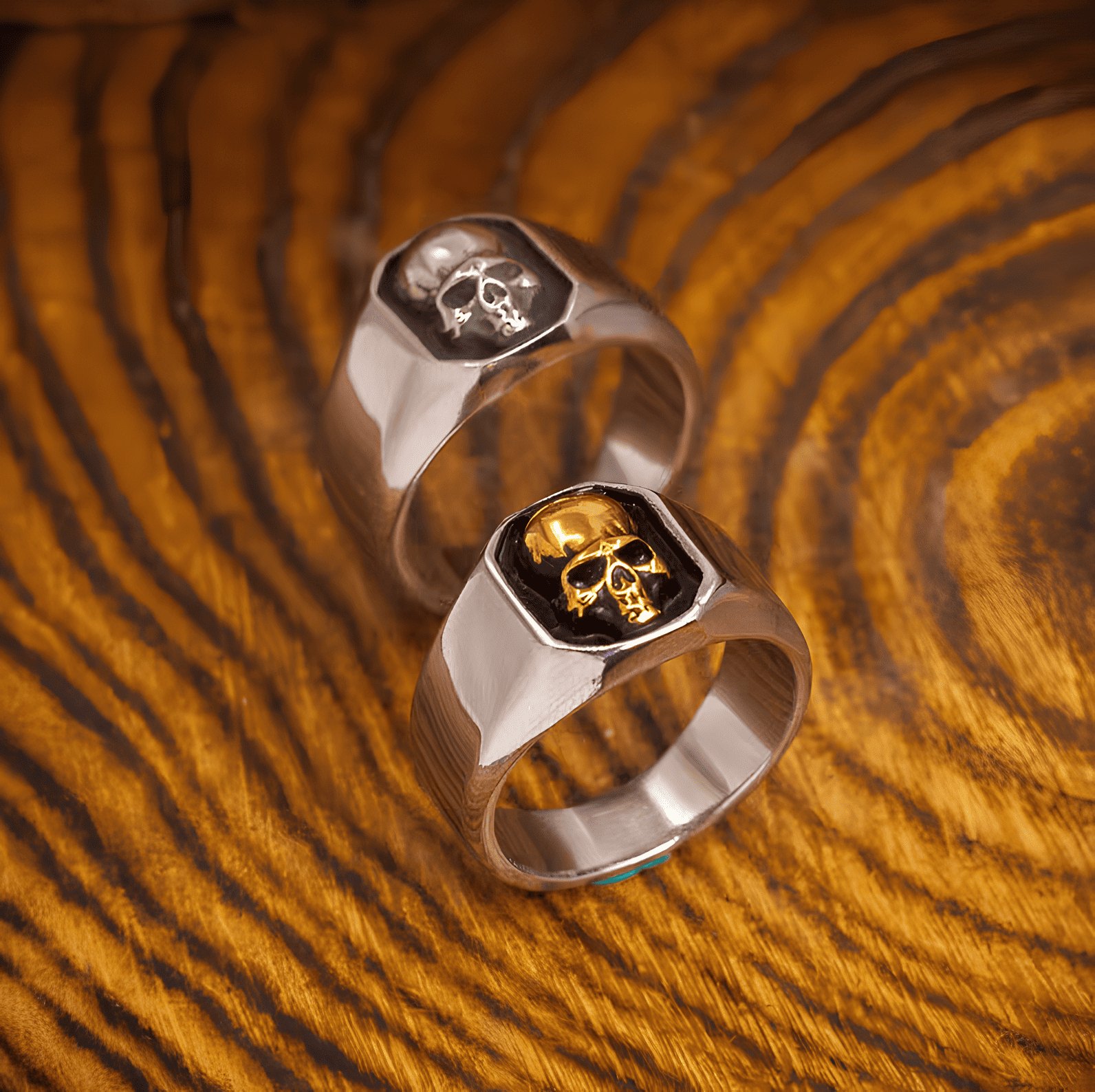 Signet Skull Gothic Titanium Steel Ring - Night Works