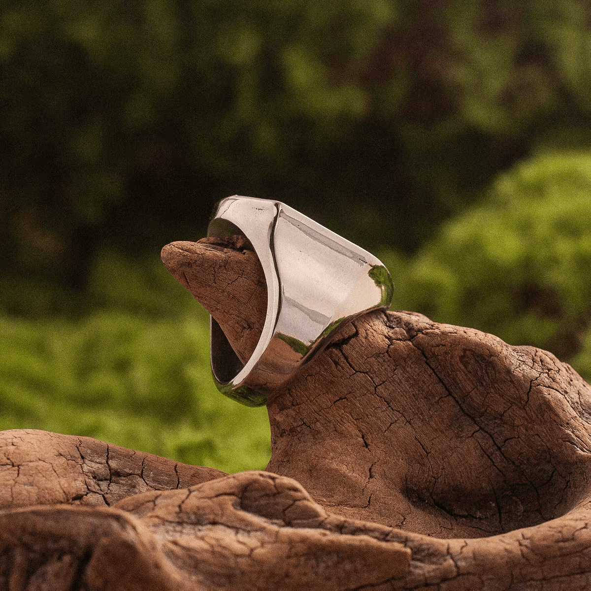 Anubis Ring – Egyptian Titanium Steel Statement Band - Night Works