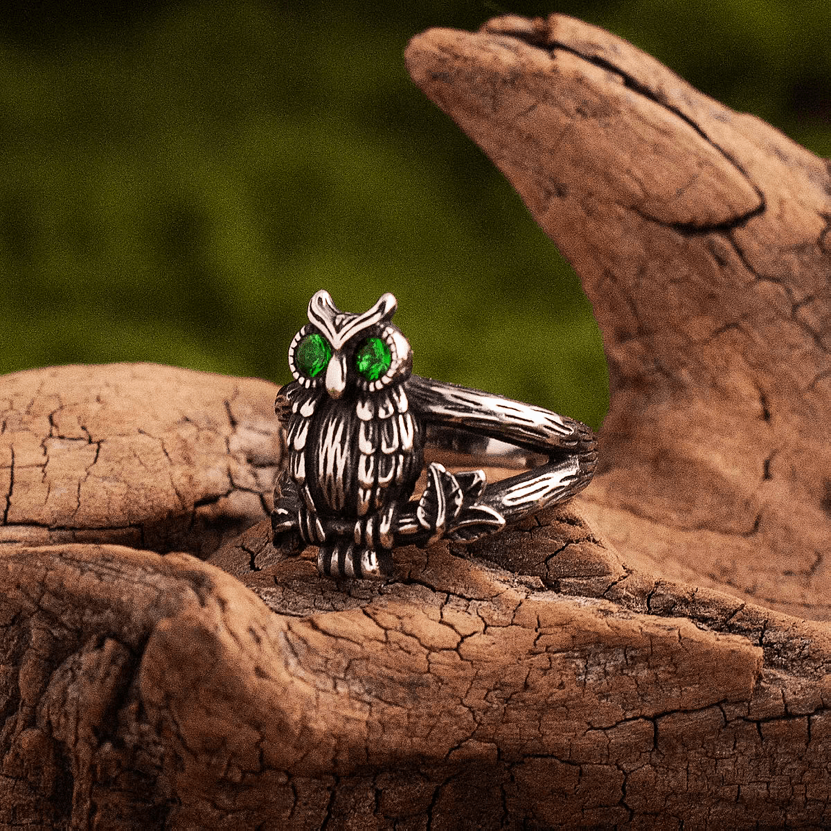 Athena’s Owl Ring – Greek Mythology Titanium Steel Band - Night Works