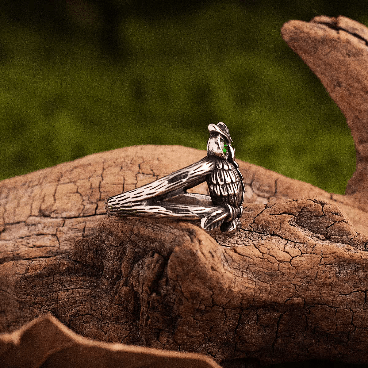 Athena’s Owl Ring – Greek Mythology Titanium Steel Band - Night Works