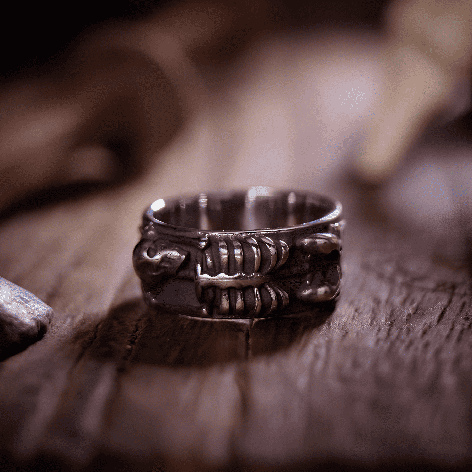 Cycle of Life Skeleton Wide Band Ring - Night Works