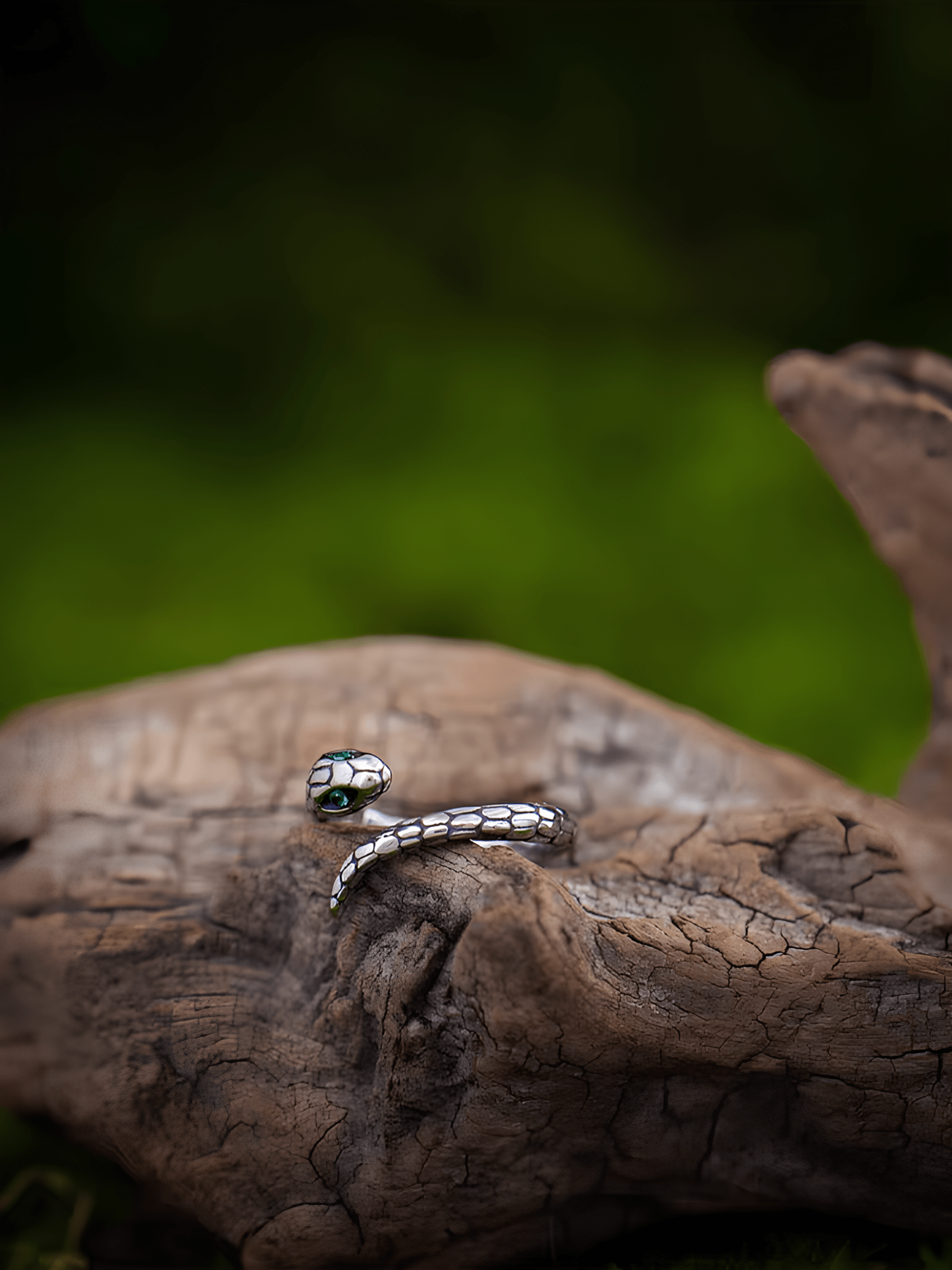 Dark Serpent Gothic Ring – Vintage Stainless Steel Snake Band - Night Works