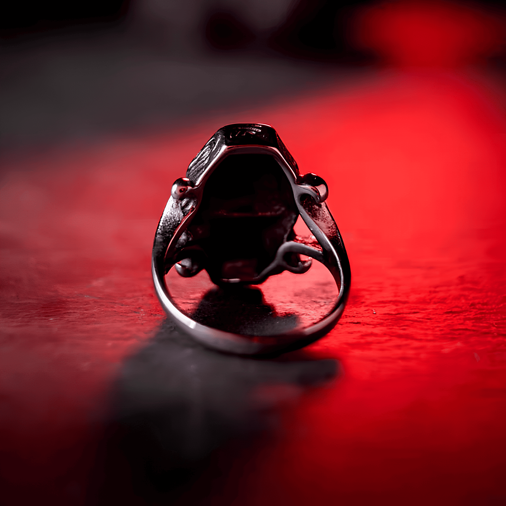 Skull Coffin Ring - Gothic Titanium Steel Jewelry - Night Works